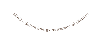 SEAD Spinal Energy activation of Dharma