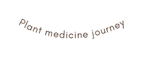Plant medicine journey